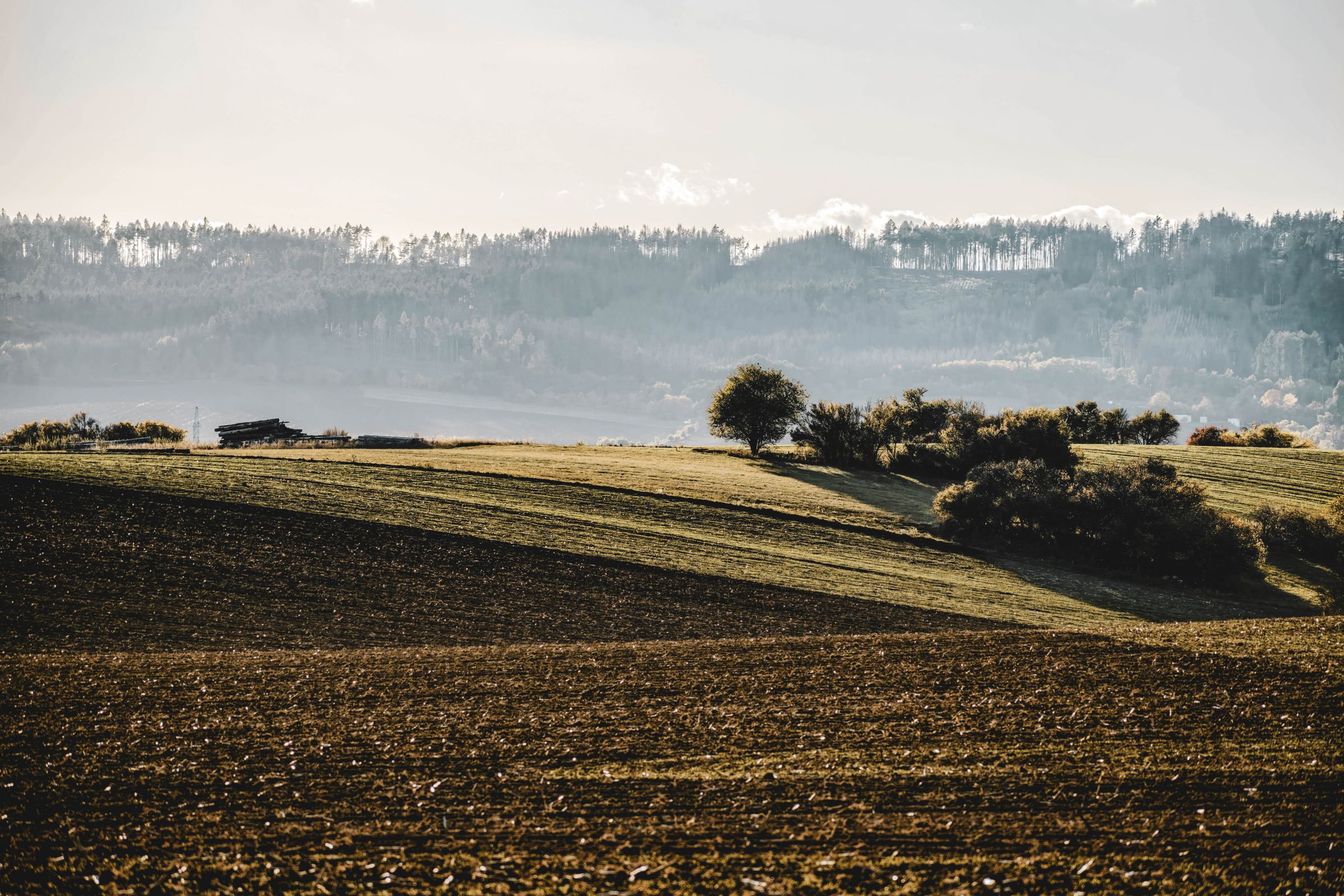 Rolling green countryside under a clear sky